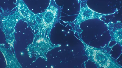 Backend for an AI medical-diagnostics platform
